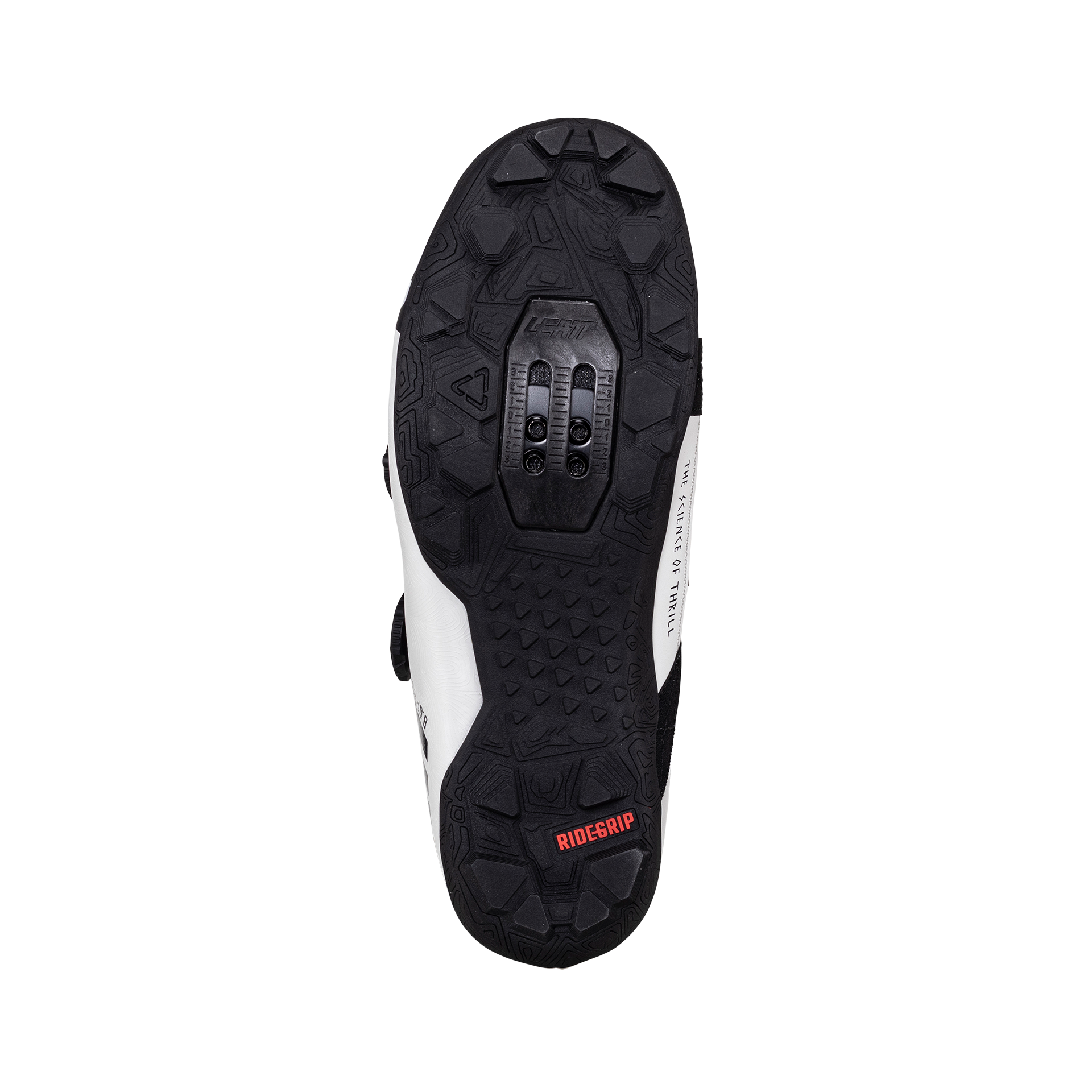 Shoe ProClip 8.0 Race Women - 2025