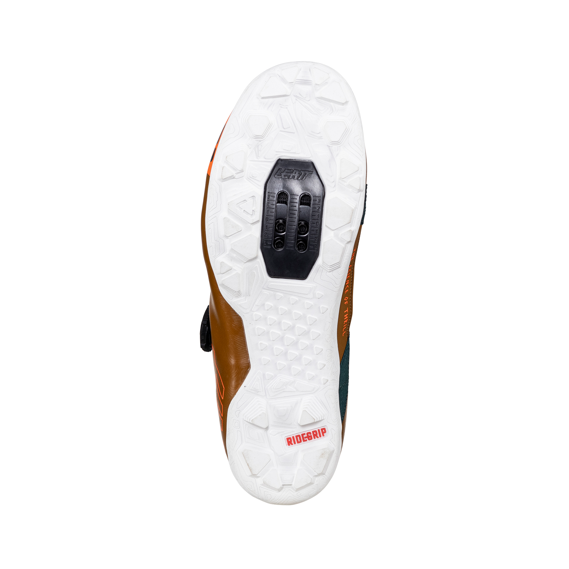 Shoe ProClip 8.0 Endurance Women - 2025